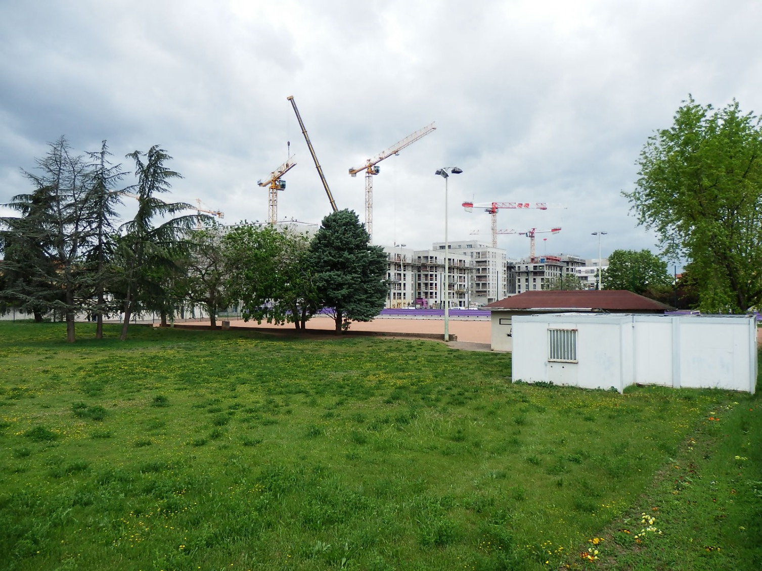 Espace Antoine Dumont - Prairie - Mai 2021